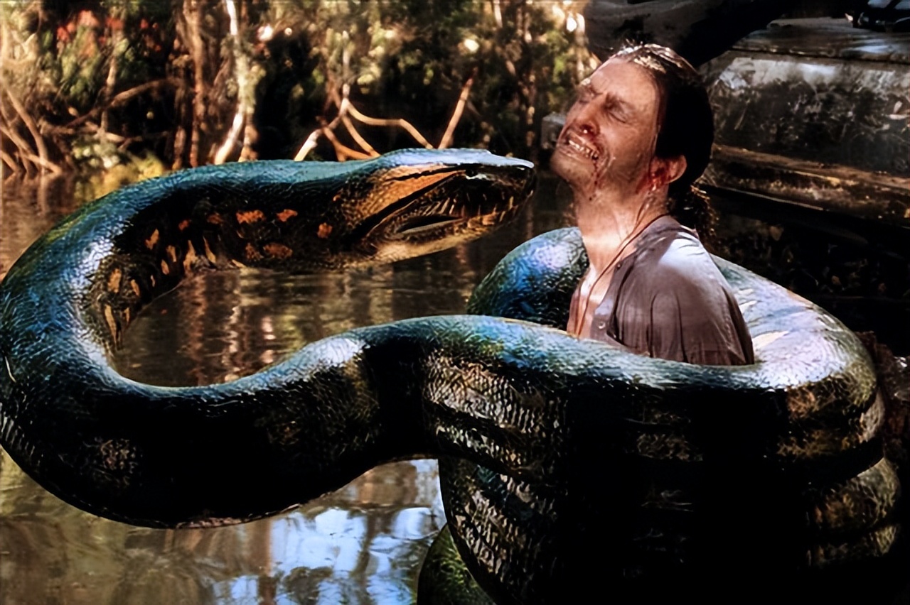 The Plague of Pythons: The Rise and Influence of Troll Movies - iMedia