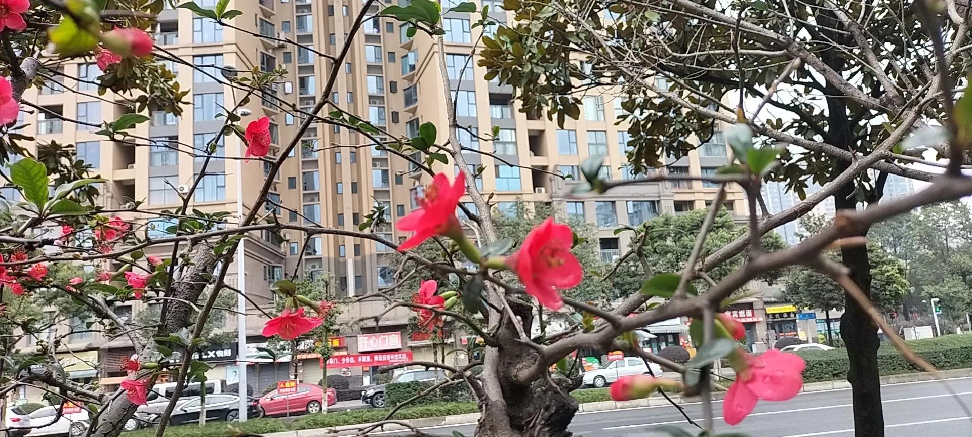 "The Courage to Be Hated" Day 5 - iNEWS