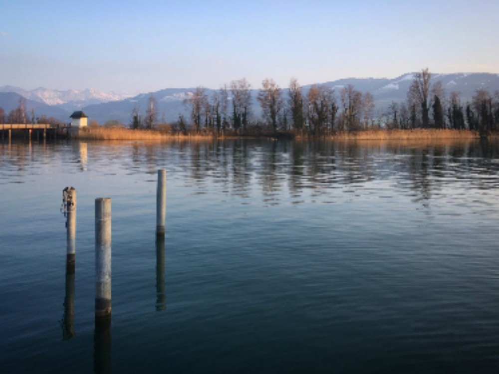 How to measure land area with mobile phone? Four ways to measure area