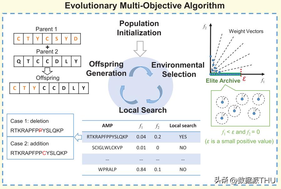 DrugAI team proposes antimicrobial peptide design method based on multi ...