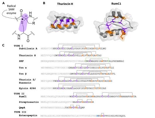 Decoding the Secrets of Plant Proteins: How Do Mutations Disrupt ...