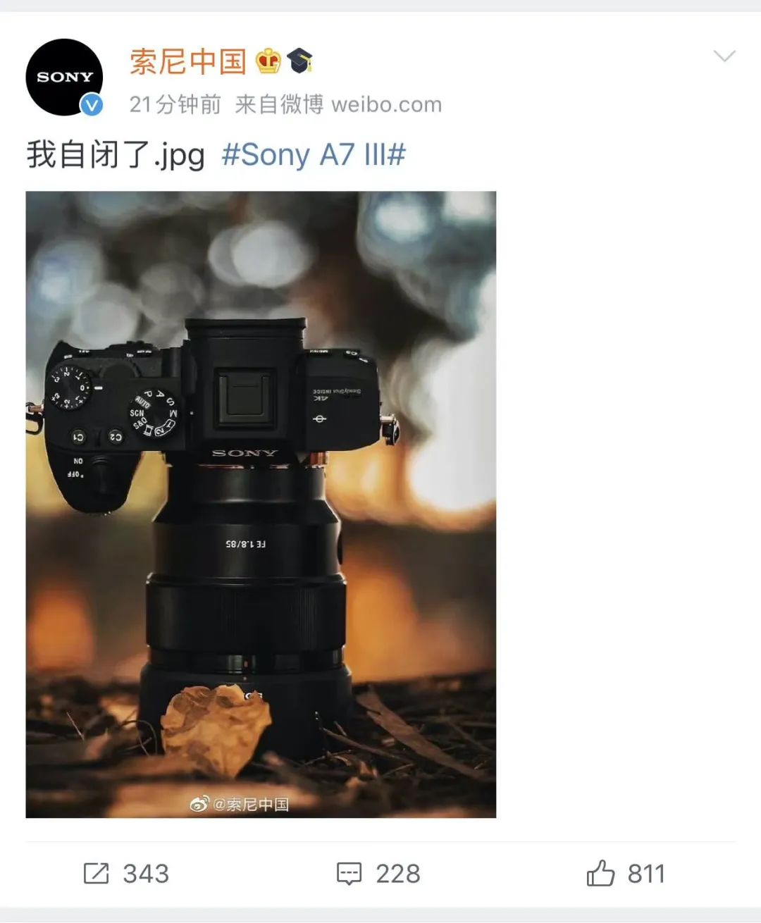How strong is Canon's new mirrorless R1 by default, Sony looked at