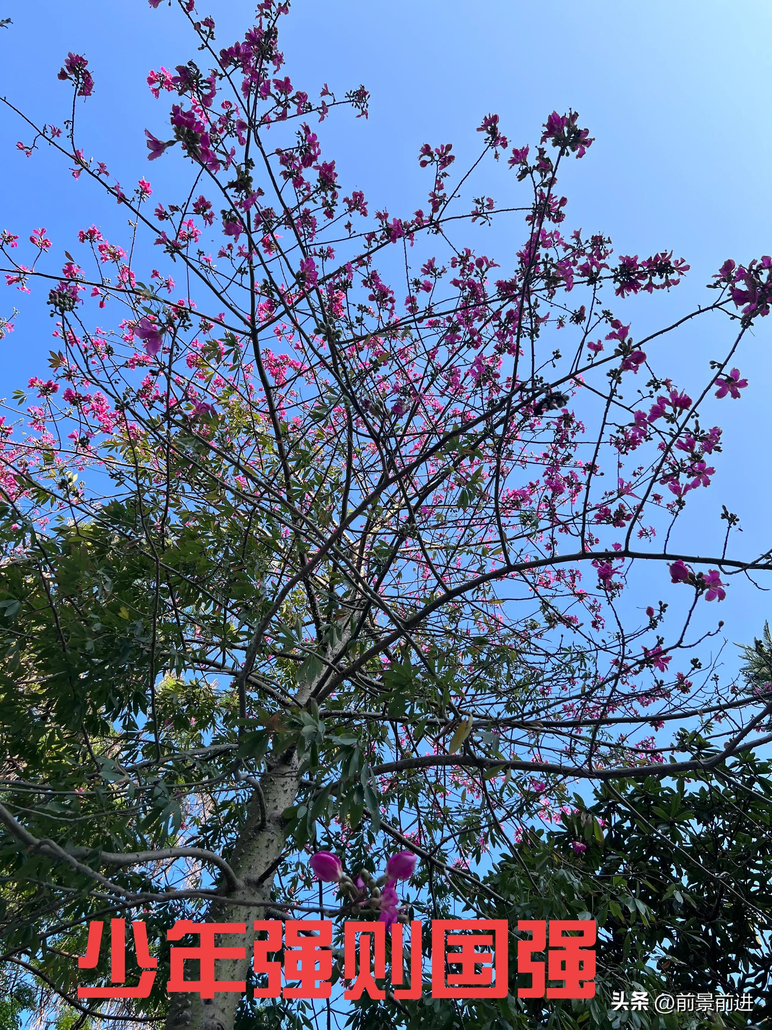 Idiom a Day Miserable Green Boy iNEWS