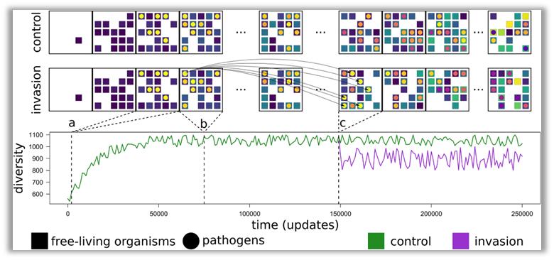 Research uses artificial life systems to simulate ancient biological ...