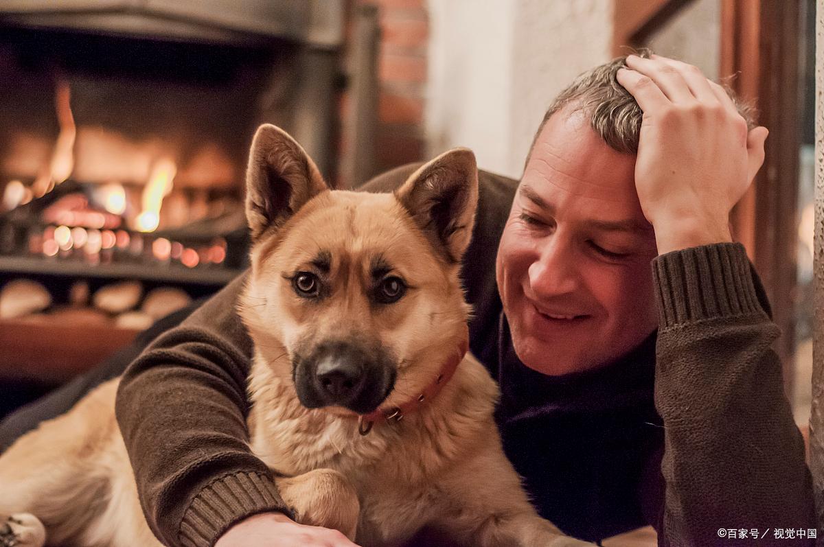 "Hachiko" Film Review A successful localized remake, an irresistible tearjerker! iMedia