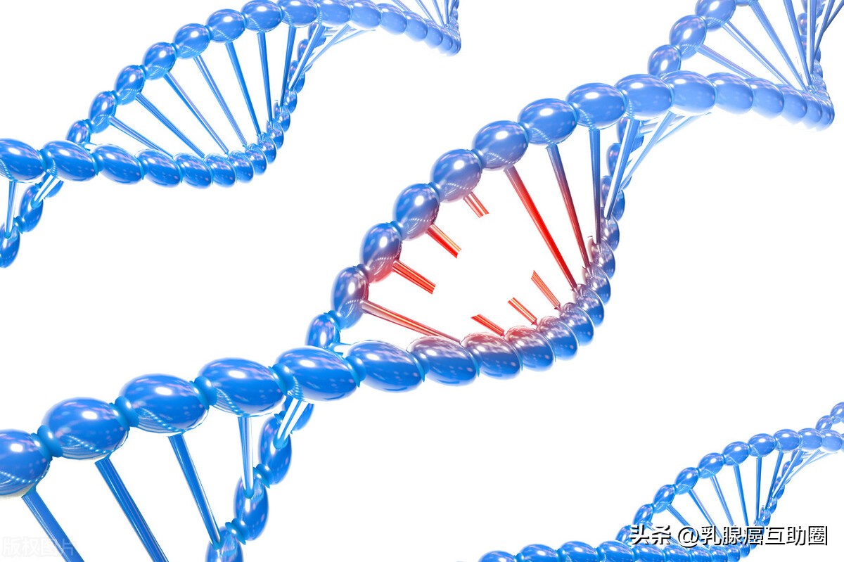 Breast cancer patients have a higher chance of getting these cancers