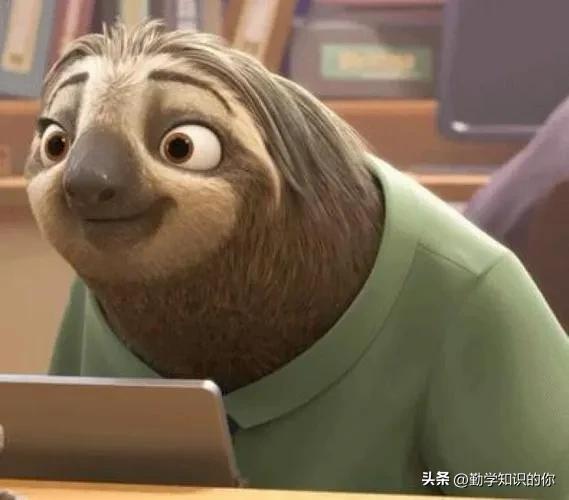 懶得出奇的樹懶,為什麼世界各國動物園中都見不到它? - 資訊咖