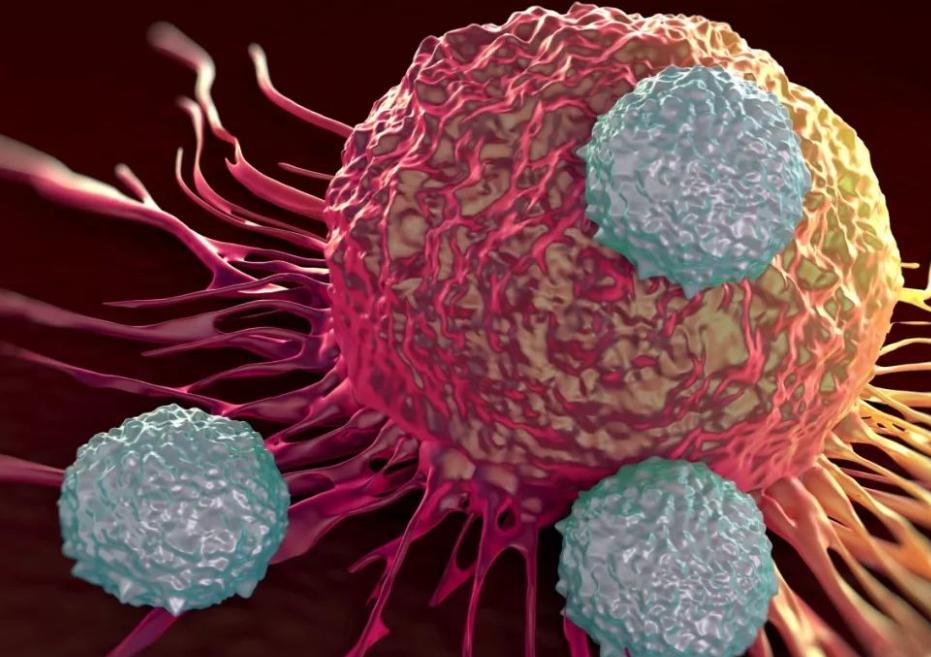 Is cancer contagious? Scientists give specific answers iNEWS