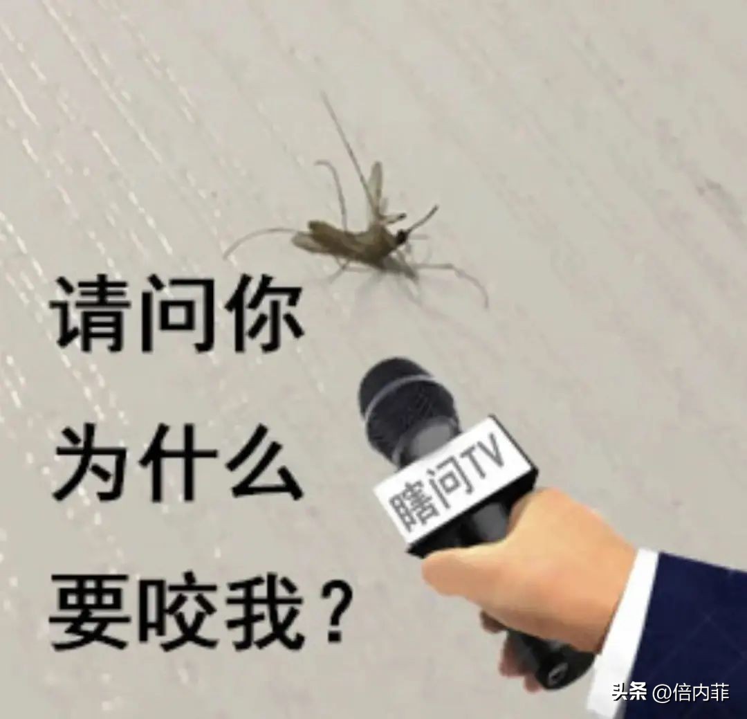 Cat Are you repelling mosquitoes, or are you killing me? iNEWS