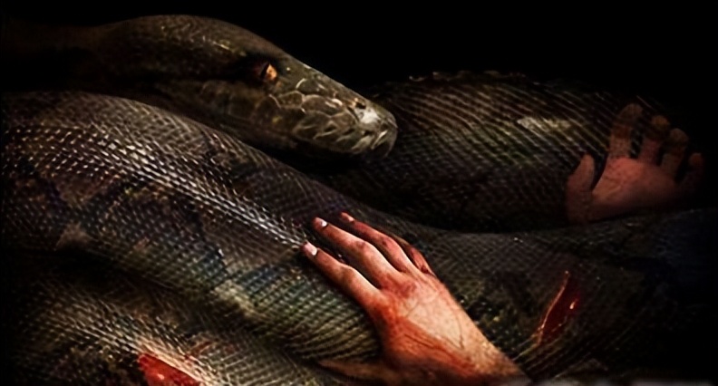 The 8 scariest python movies for the faint of heart - iNEWS