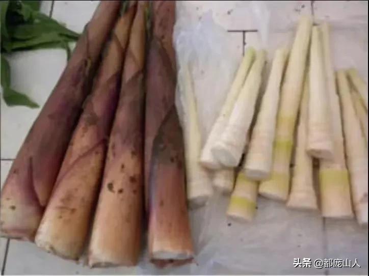 Bitter bamboo shoots, delicious deep in the mountains iNEWS