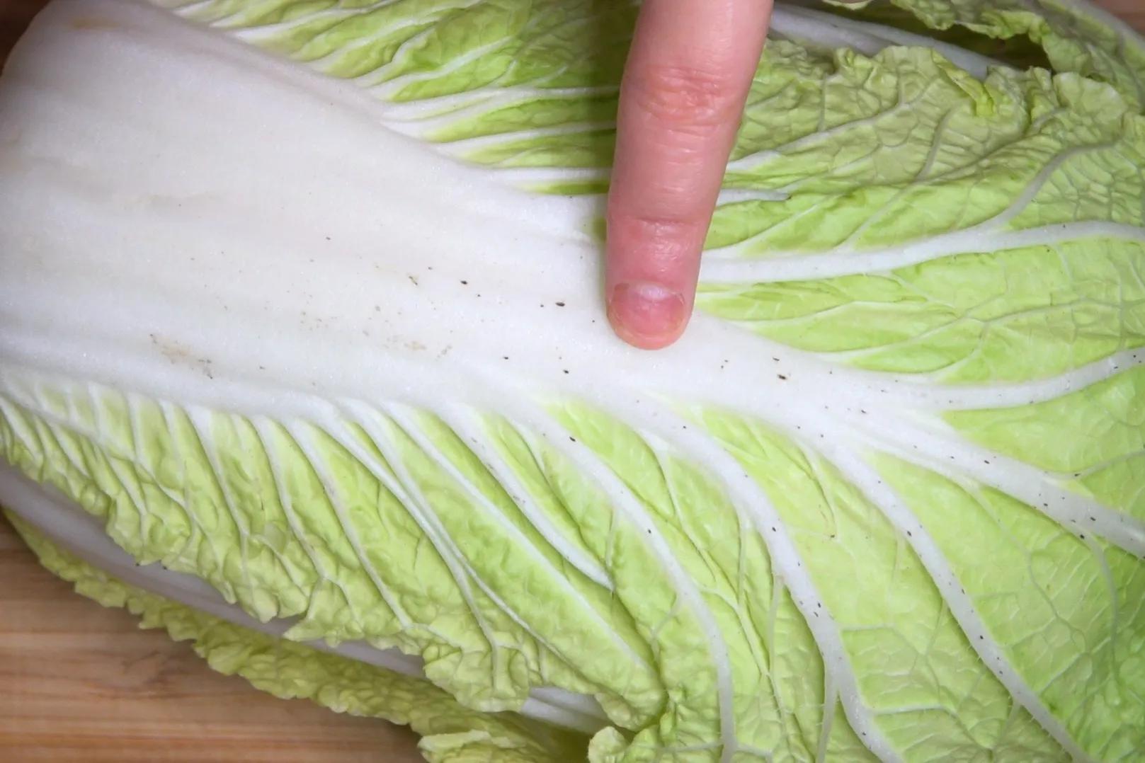 What are the "small black spots" on the leaves of cabbage that has been