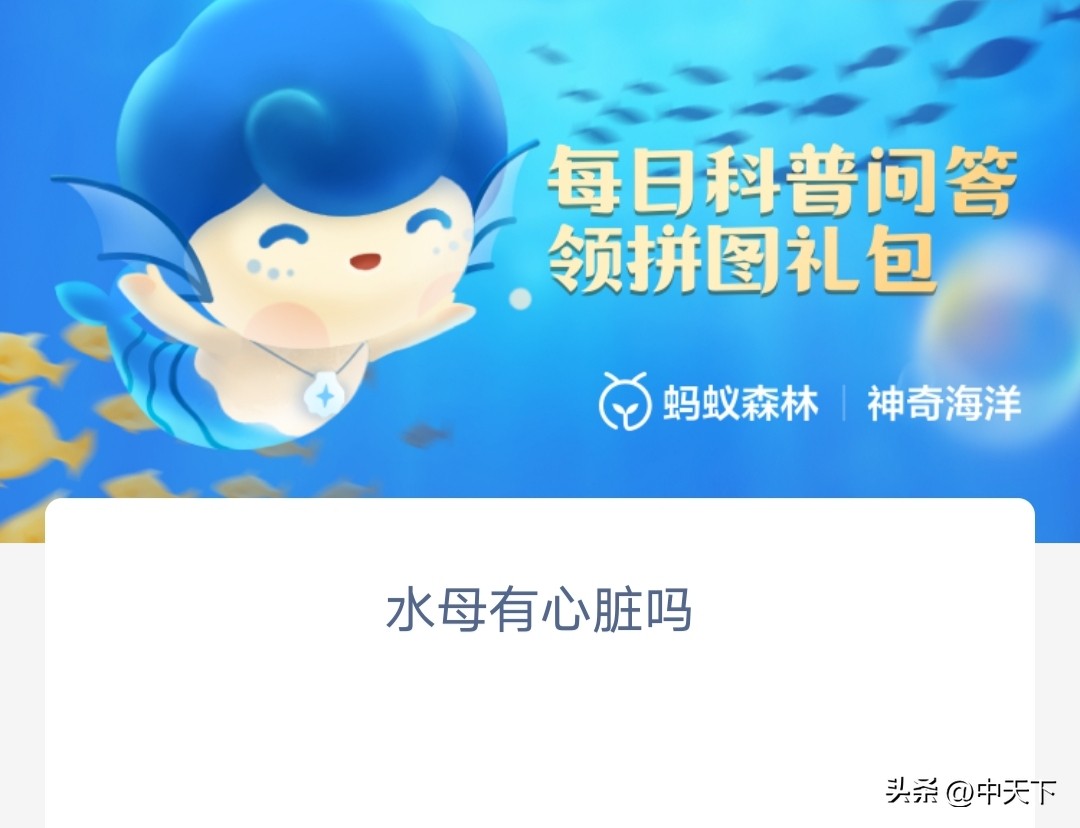 Do jellyfish have hearts?Yes or no?Do jellyfish have a heart? The answer to the magical ocean