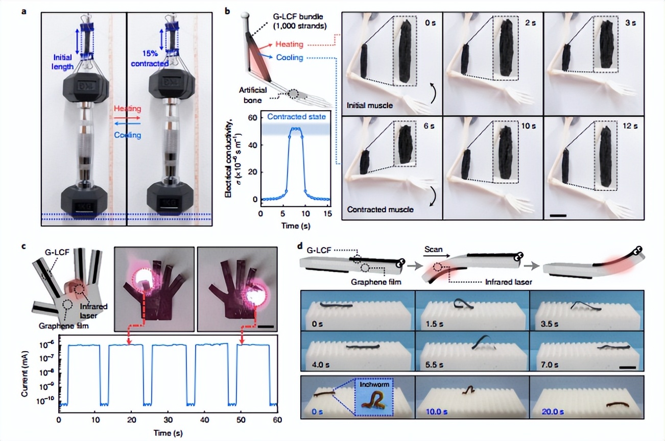 Research Frontier: Nature Nanotechnology-Artificial Muscle - iMedia