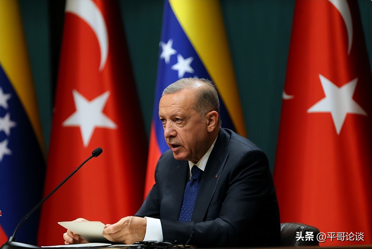 Ardogan Success.pdf Narrowly win! The success of Erdogan's re-election is not only a ...