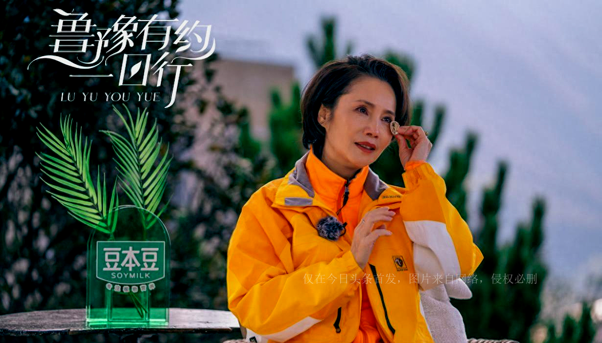 Former CCTV anchor Xu Li, who did not have children after remarriage ...