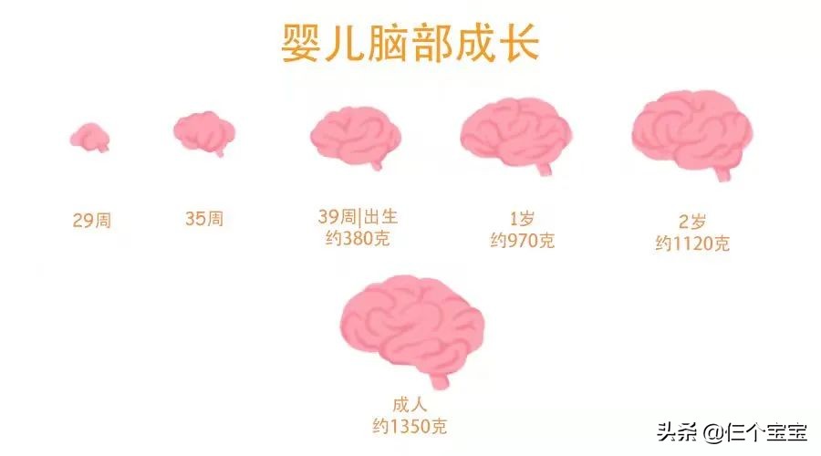 The brain development peak is only once in a lifetime. Only by doing ...