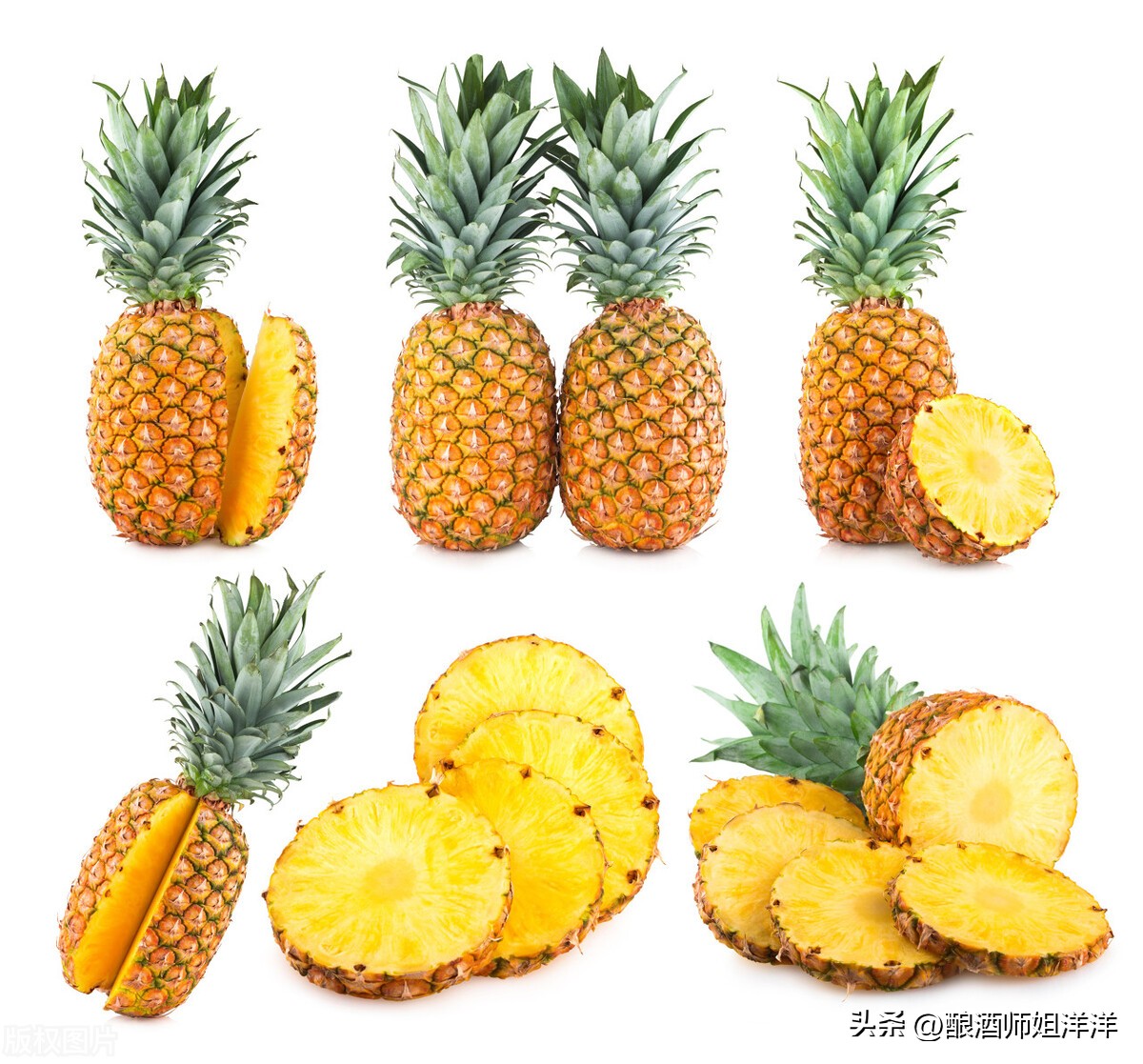 Brewing process of pineapple wine iNEWS