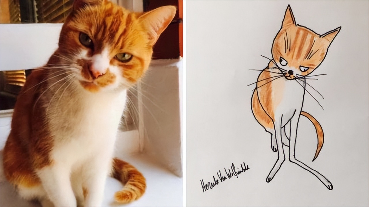 搞笑塗鴉讓他成網紅，為無家可歸者籌集不少錢，作品供不應求