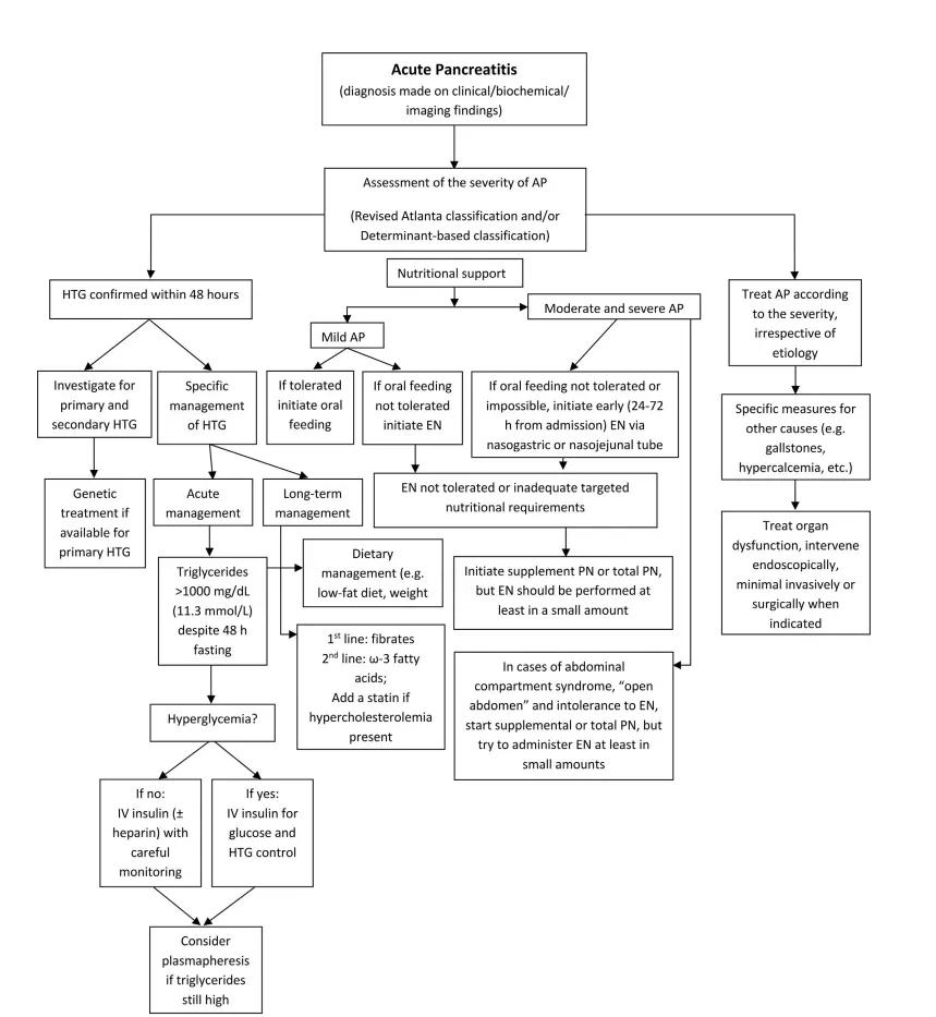 ESPEN:Enteral nutrition support strategy for acute pancreatitis - iNEWS