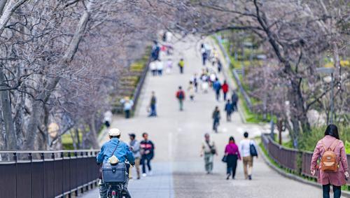 Japan releases Asia's cleanest city rankings, 5 Chinese cities are on the list, Dalian is second
