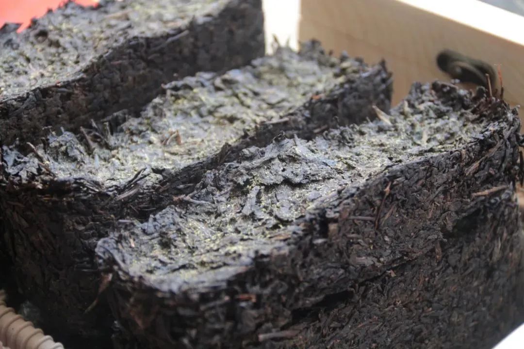 In addition to Fu brick tea, these teas can also grow "golden flowers