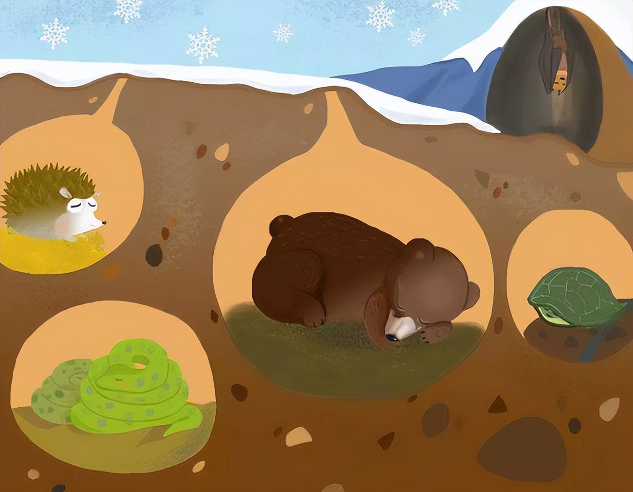 How do snakes get under the hood of a car?How to deal with this