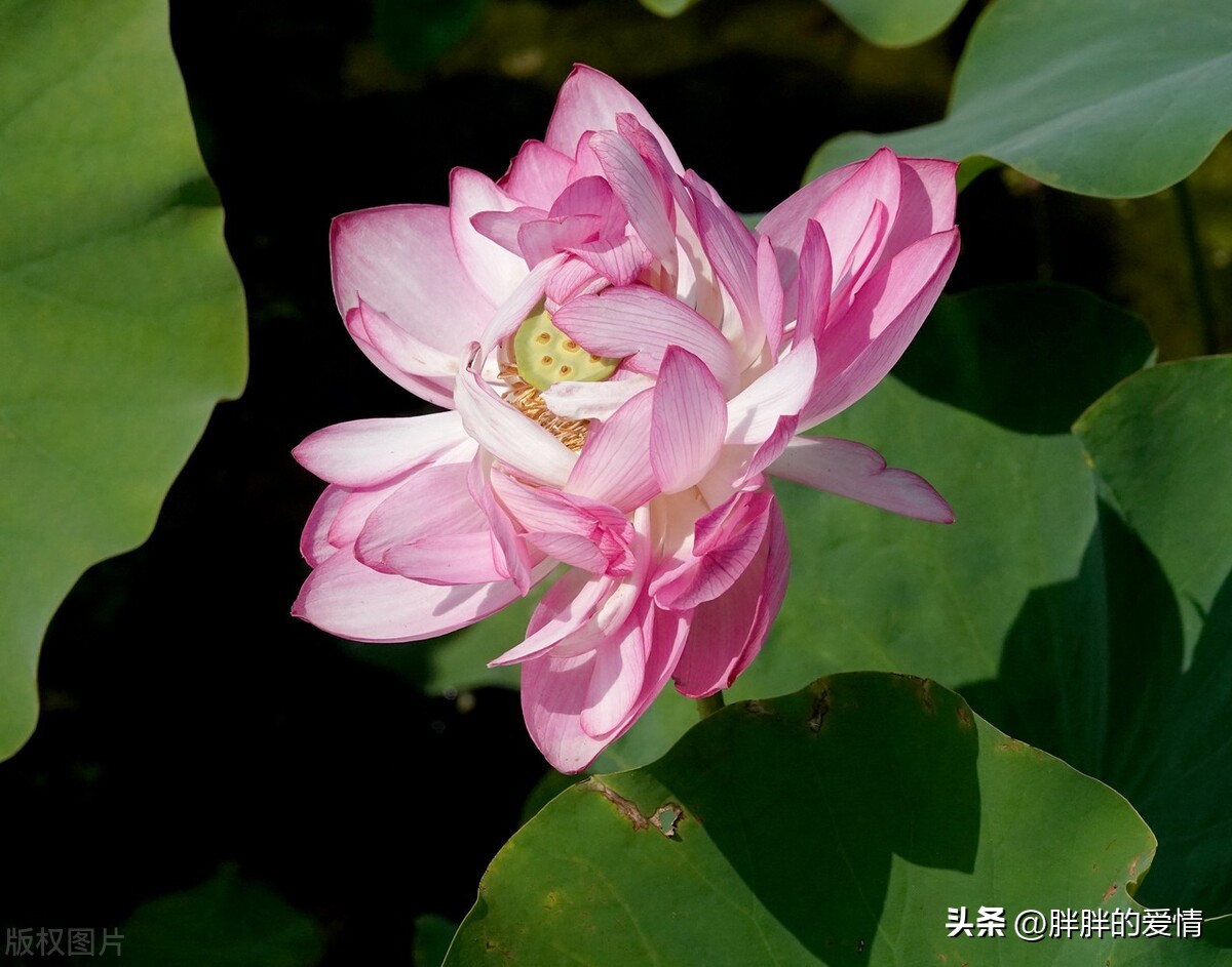 Keep one's own mind and look down on vanity; the biggest regret in life