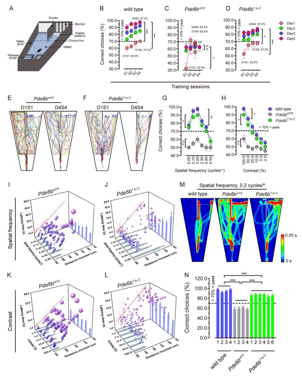 Developing 'universal' gene-editing tool restores vision in blind mice ...