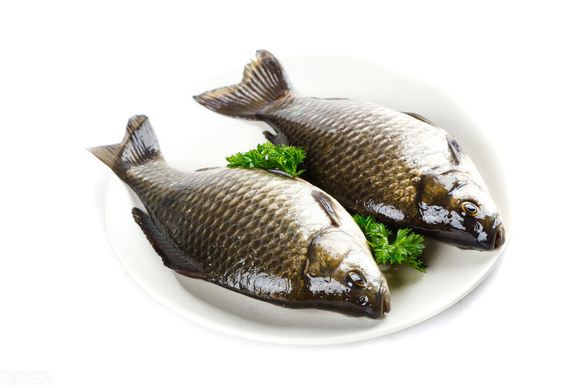 外科丹方選賞（二四九）癰癤療瘡經驗方：野九鯽魚膏 - 頭條匯