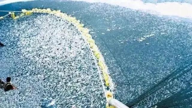 日本罪行瞒不住了 近海出现密密麻麻浮尸 世界目光移向东京 资讯咖 日本罪行瞒不住了 近海出现密密麻麻浮尸 世界目光移向东京 资讯咖