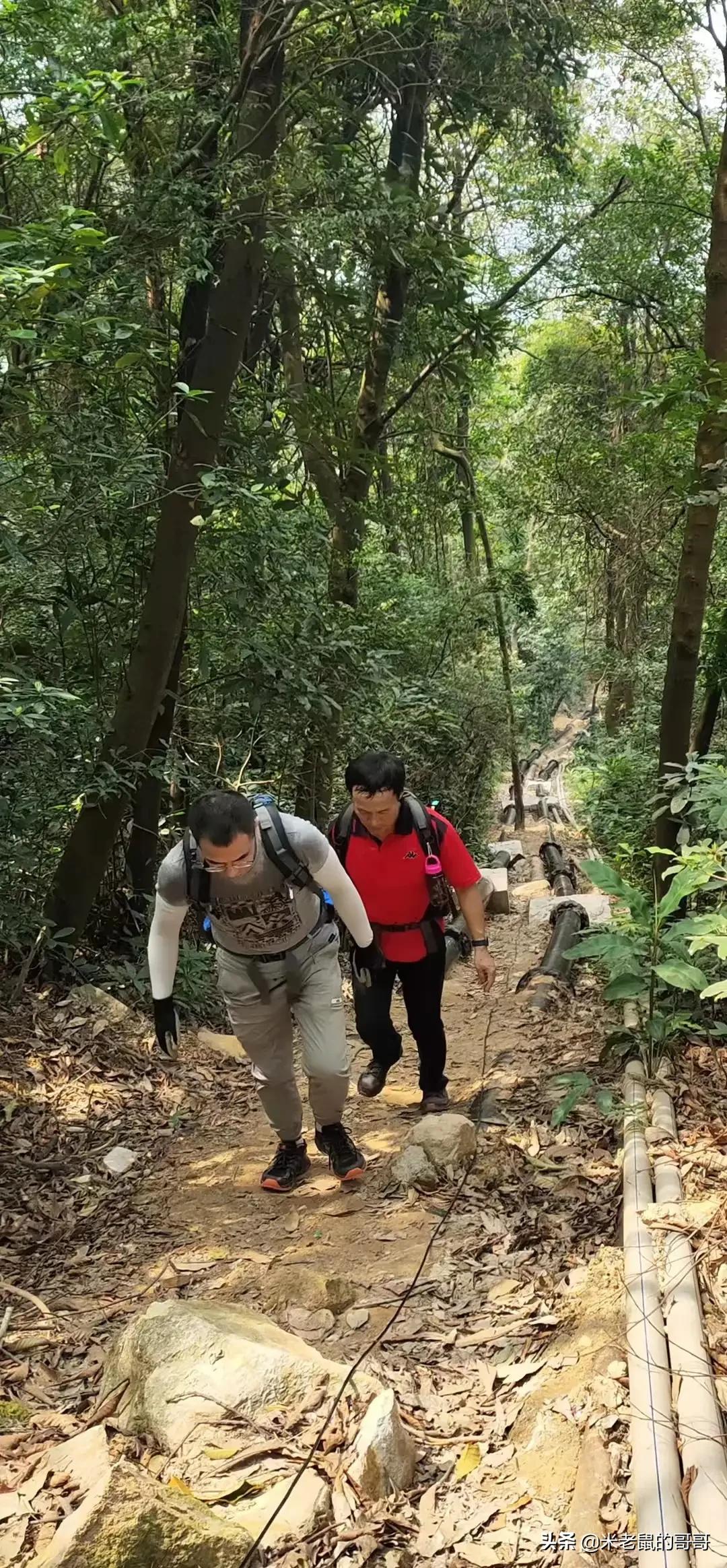 Hiking Baiyun Mountain in Guangzhou - Footsteps make a mysterious map ...