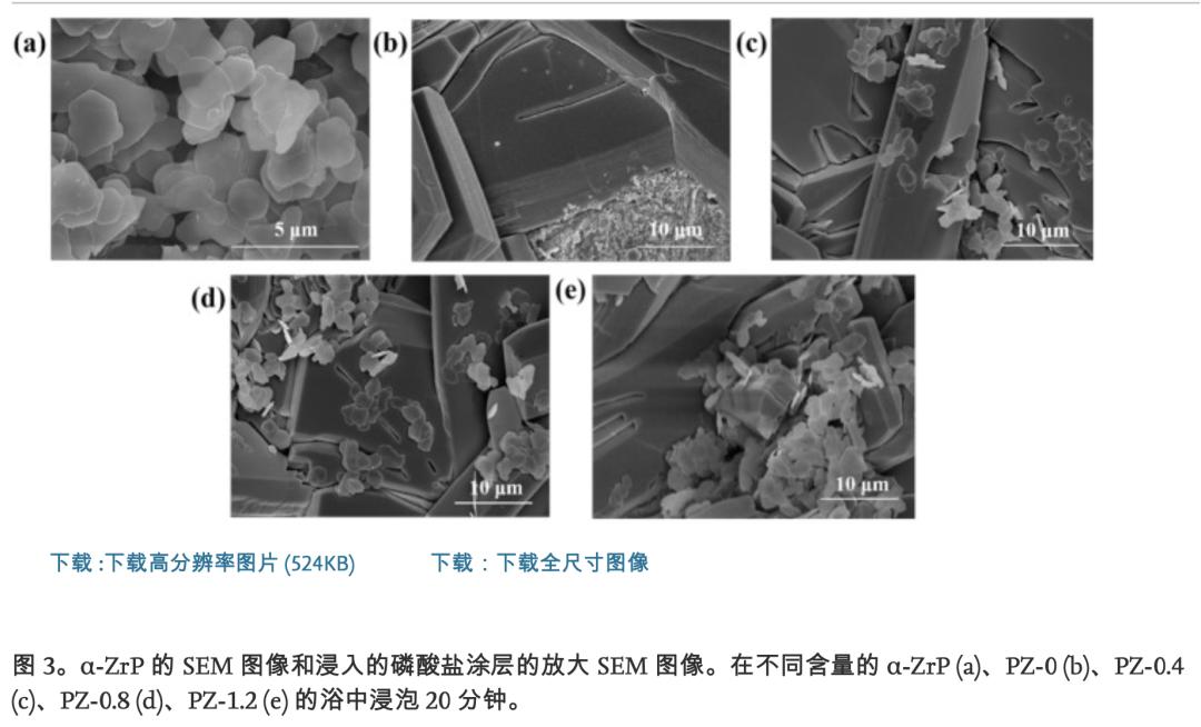 Introducing αzirconium phosphate to accelerate the formation of zinc