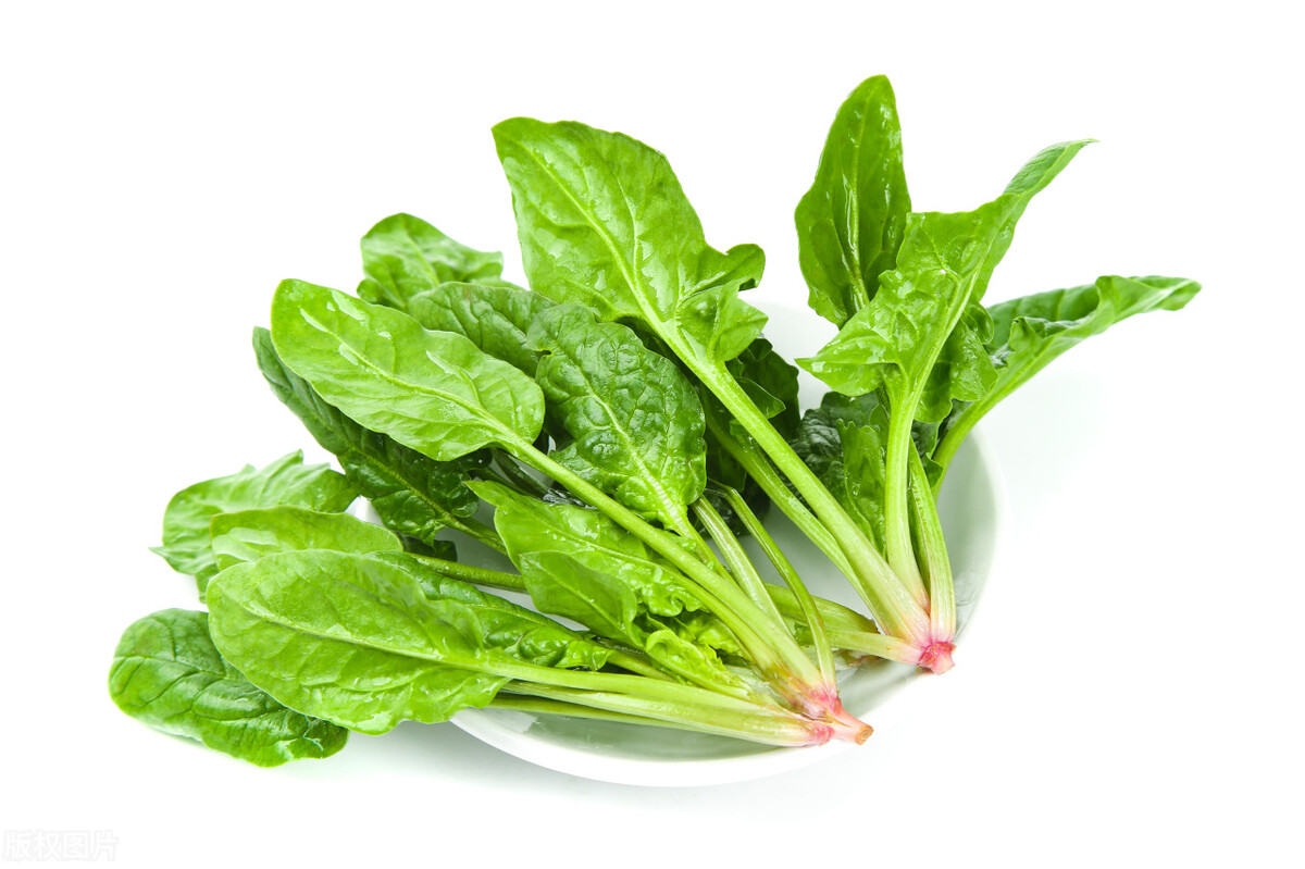 These 5 kinds of green leafy vegetables are higher in calcium than milk