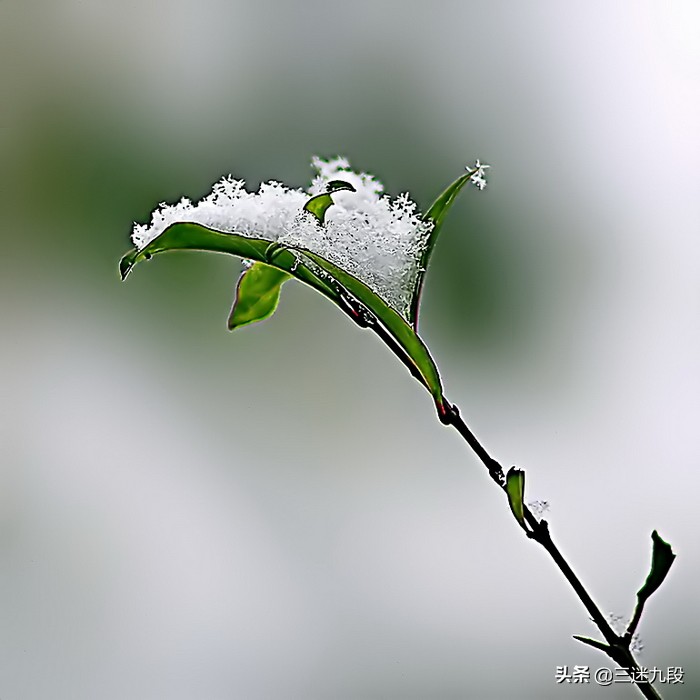 Throwing bricks and attracting jade, photography enthusiasts discuss and exchange works to