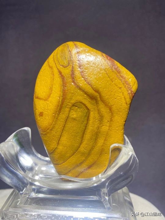 Beautiful stone with golden skin tiger pattern - iNEWS