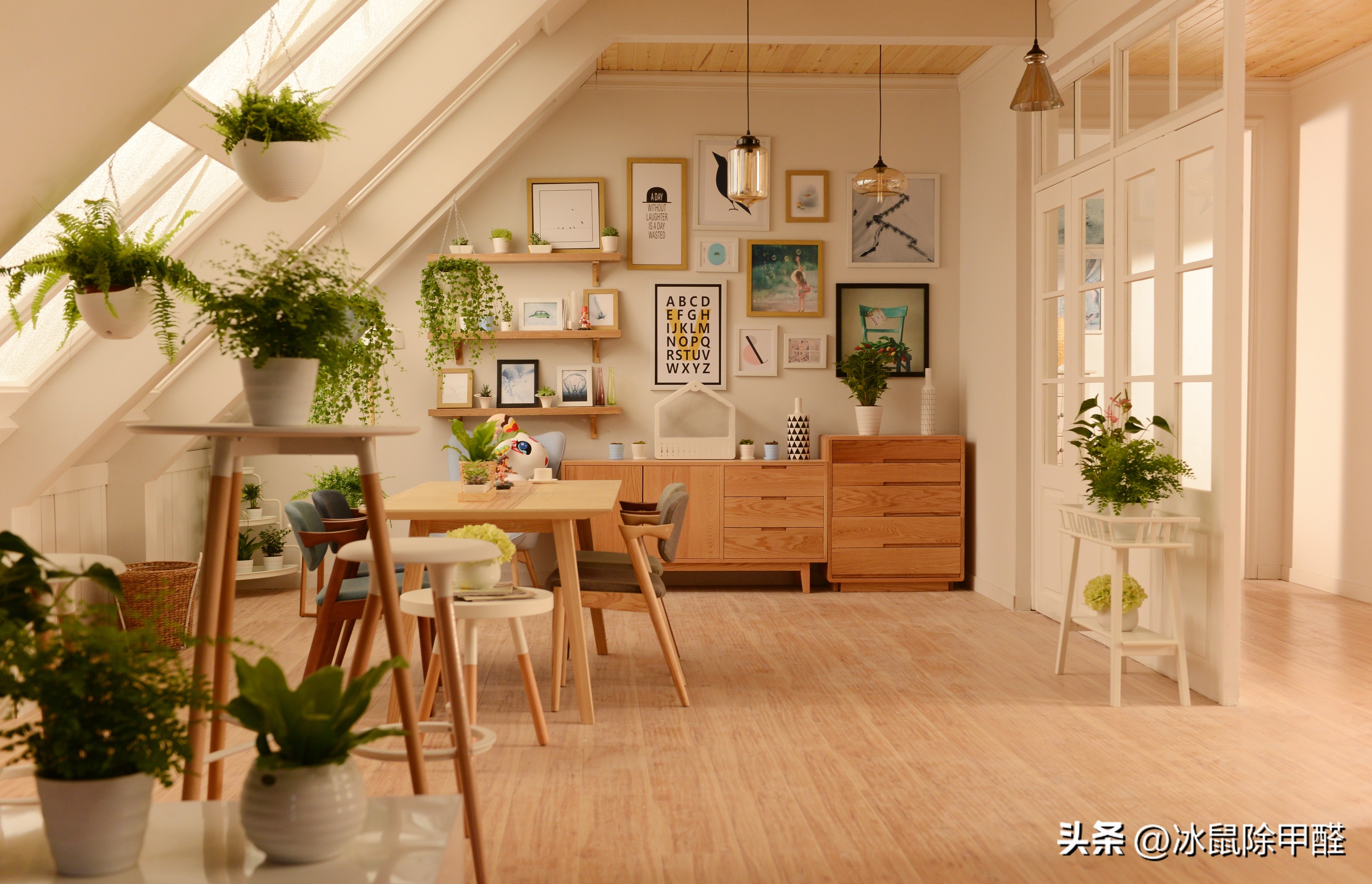 How can new furniture reduce formaldehyde? iNEWS