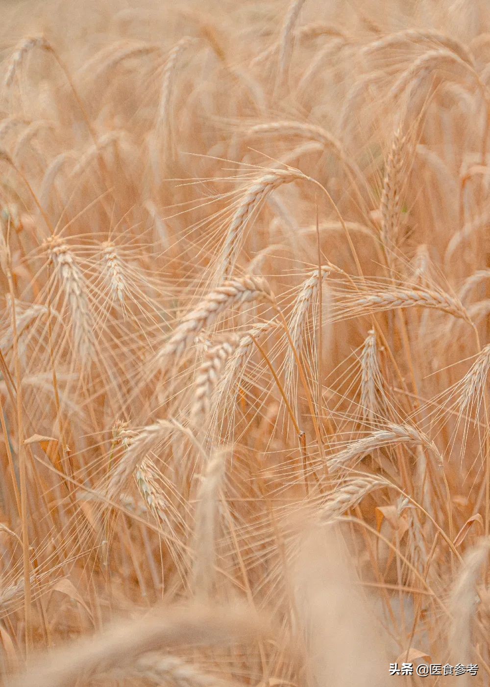 Five points of daily life after the hot and humid diet iNEWS