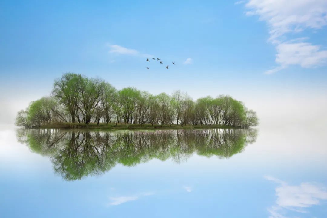 On Kun Peng Reading the Phaedo on the Soul (13) iNEWS