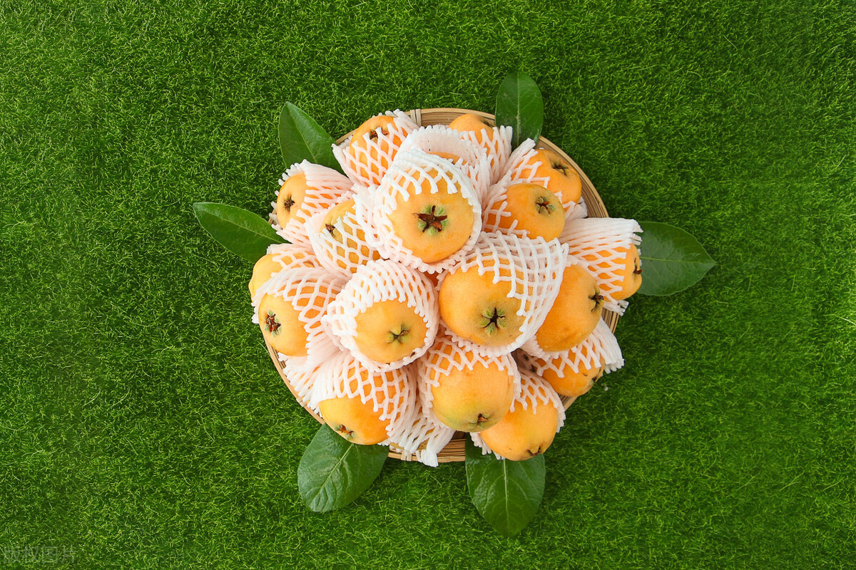 Eat loquat scientifically - iNEWS