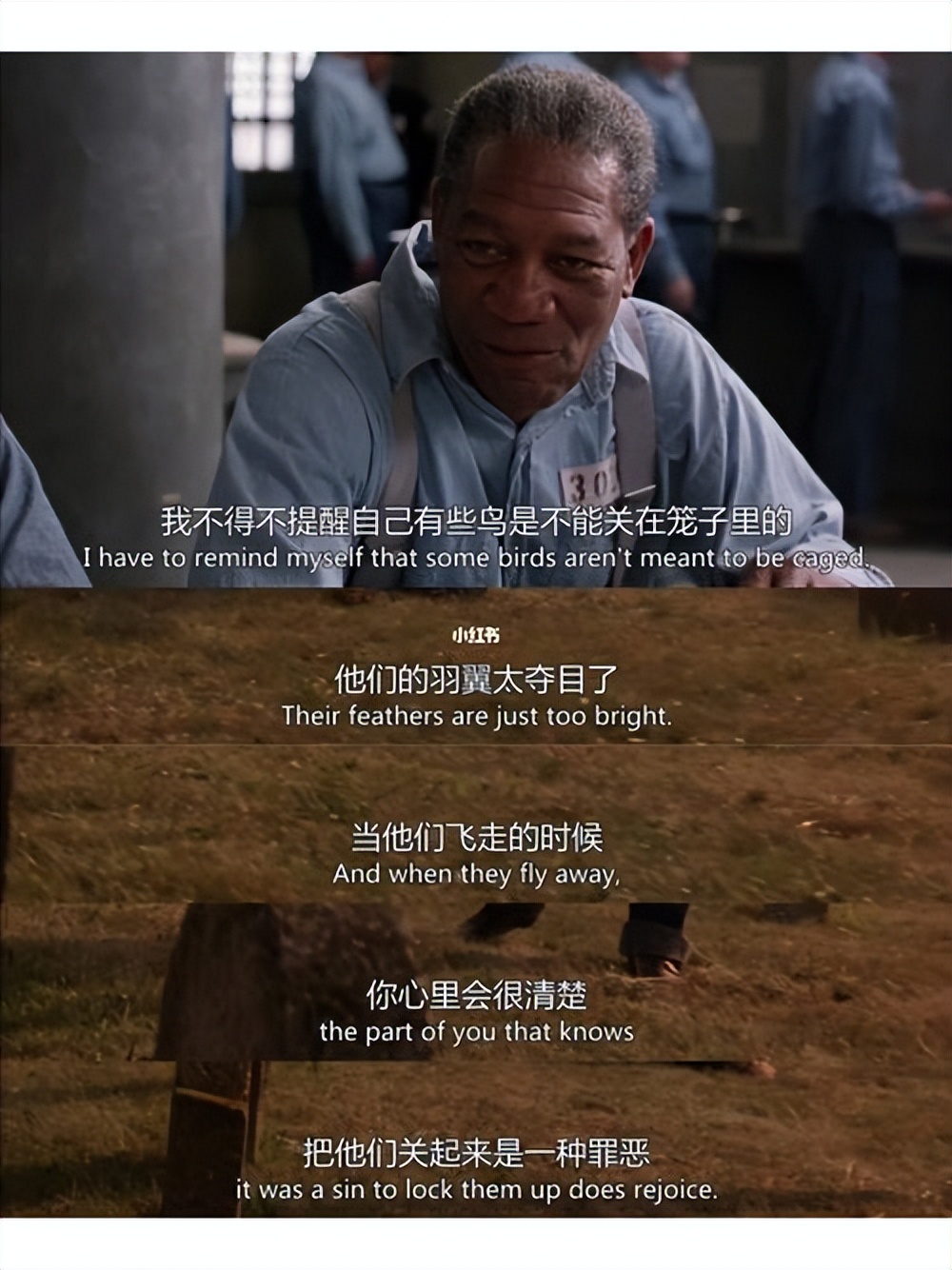 "The Shawshank Redemption" explores hope, freedom, rebirth, and the
