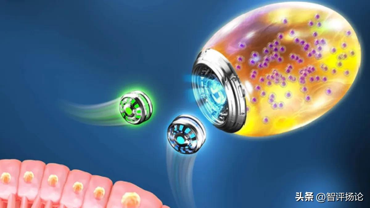 New nanorobots can find their way to inflamed sites in the body - iMedia