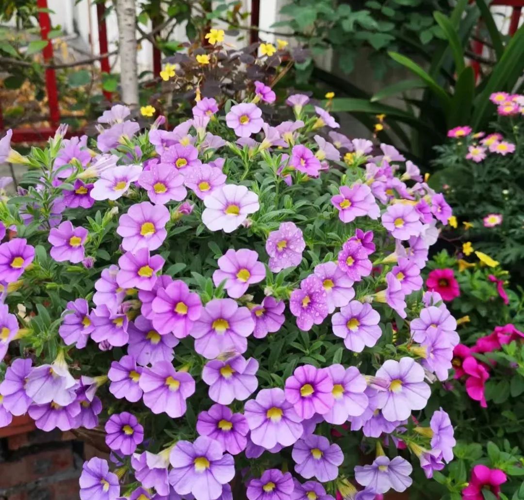 10 Peerless cuties who love bursting flowers, even beginners can make