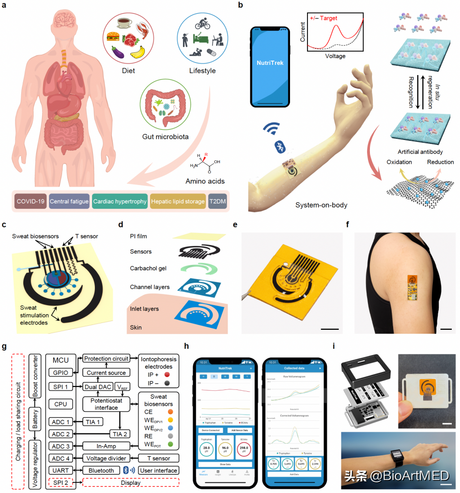 Gao Wei's team develops wearable biosensor for precision nutrition - iNEWS