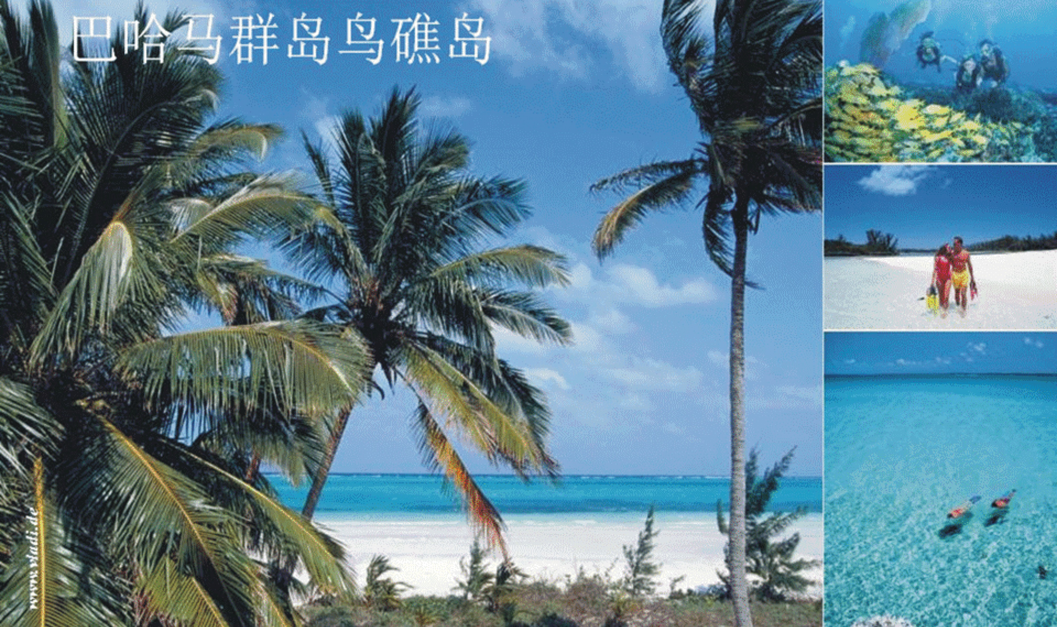 The private island of nightclub moguls and world movie stars (Bird Cay ...