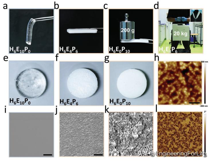 Afm In Situ Phase Separated Toughened Peg Gels For 4d Printing Inews