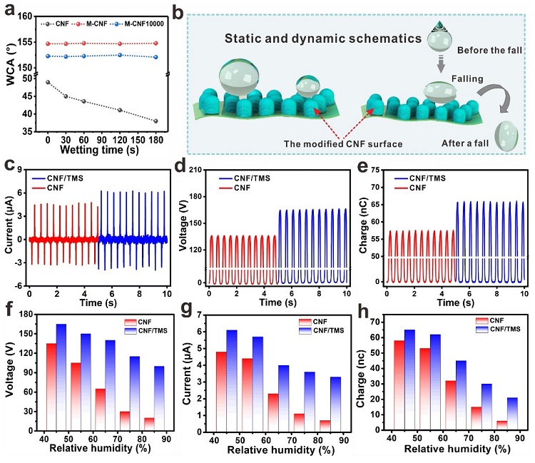 Professor Nie Shuangxi's team: superhydrophobic cellulose triboelectric ...