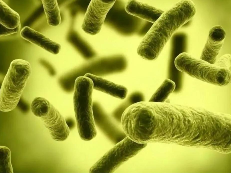 Ancient people didn't know the existence of bacteria, why did they