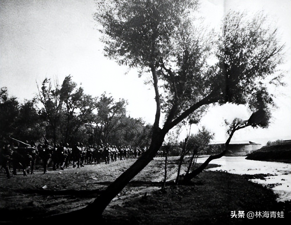 Miyoharu Hasegawa Commander of the 1st Infantry Regiment of the 1st