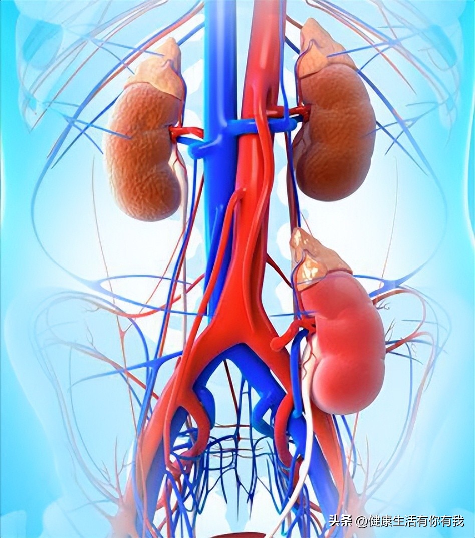 does-kidney-disease-cause-back-pain-inews